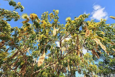 《古墓丽影三部曲：重制版》中敌人性感夹克被和谐